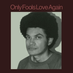 Danny Ayala Only Fools Love Again VINYL  LP
