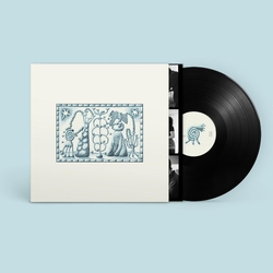 Zoltan Fecso And Anna Morley Desire Path VINYL  LP