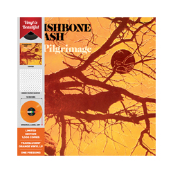 Wishbone Ash Pilgrimage (Orange Vinyl) Vinyl  LP 
