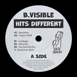 B.Visible Hits Different VINYL 12INCH