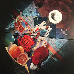 Mars Volta La Realidad De Los Suenos [18 LP]18 Vinyl  LP 