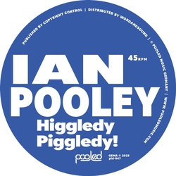 Ian Pooley Higgledy Piggledy! (Vinyl) VINYL 12