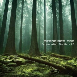 Francisco Foo Europe After The Rain Ep VINYL 12INCH