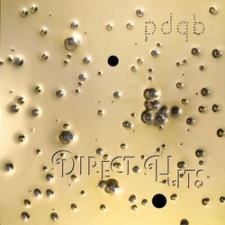 Pdqb Direct Hits [With Two Roman Fl_Gel Remixes] VINYL 12INCH