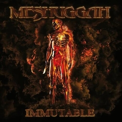 Meshuggah Immutable [2 LP] (Orange Colored With Cir VINYL 2 LP 