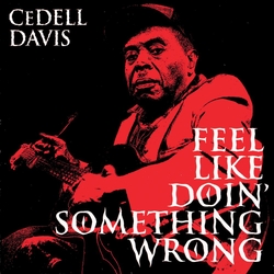 Cedell Davis Feel Like Doin' Something Wrong VINYL  LP