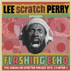 Various Artists Flashing Echo Lee Æscratchæ Perry Presents Jungle Lion The Upsetter Singles 1973  Chapter 2 2CD