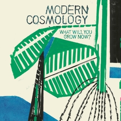 Modern Cosmology What Will You Grow Now? (Vinyl) VINYL  LP