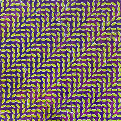 Animal Collective Merriweather Post Pavilion (Vinyl) Vinyl  LP 