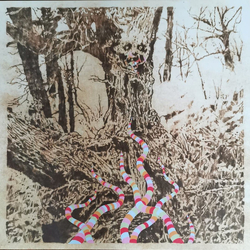 Regal Worm Worm! VINYL  LP