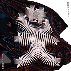 Das Koolies Dk.01 (Recycled Coloured Vinyl) VINYL 2 LP 