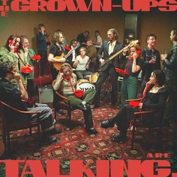 Demob Happy Grown Ups Are Talking VINYL  LP