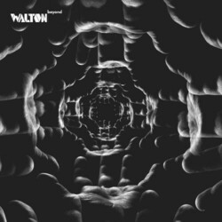Walton Beyond2 Vinyl  LP 