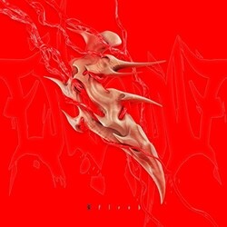 Endgame Flesh Vinyl 12" 