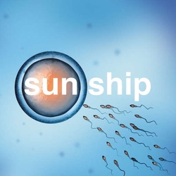Brian Jonestown Massacre Sun Ship (10In) VINYL  LP