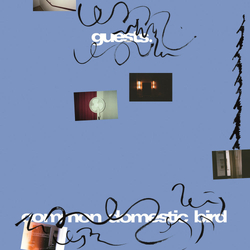 Guests Common Domestic Bird (Vinyl) VINYL  LP