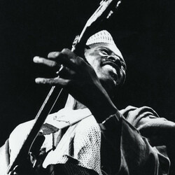 Ali Toure Farka The Source (Special Edition) Vinyl  LP