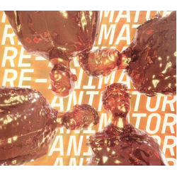 Everything Everything Re-Animator (Vinyl) VINYL  LP