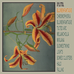 Xylitol Blumenfantasie (Vinyl) VINYL  LP