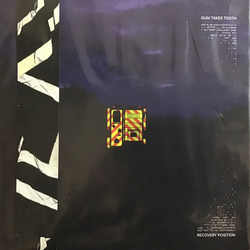 Gum Takes Tooth Recovery Position (Vinyl) VINYL  LP