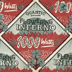Quantic Presenta Flowering Inf 1000 Watts Vinyl  LP
