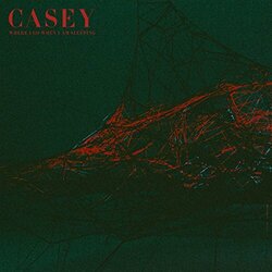 Casey Where I Go When I Am Sleeping (Turquoise Blue Vinyl) Vinyl  LP