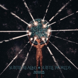 Shadow Universe Subtle Realms  Subtle Worlds (Limited Ra VINYL  LP
