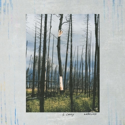 S Carey Watercress VINYL 12