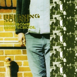 Reigning Sound Time Bomb High School VINYL  LP(150G)