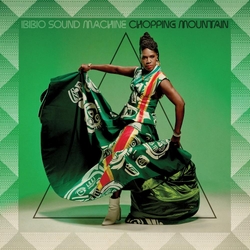 Ibibio Sound Machine Chopping Mountain VINYL  LP