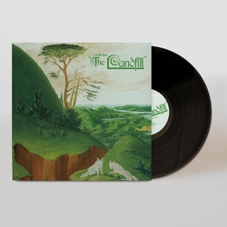 Fruit Bats The Landfill VINYL  LP