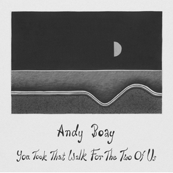 Andy Boay You Took That Walk For The Two Of Us VINYL  LP