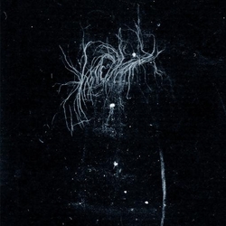 My An Heart Inverted An Flame Inverted Flame My Heart My Death Is More Beautiful Than Your Life 2cd