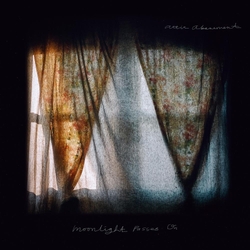 Attic Abasement Moonlight Passes On VINYL  LP