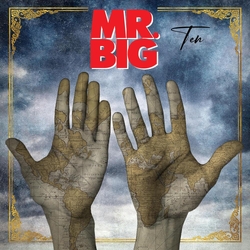 Mr Big Ten (Black Vinyl) VINYL  LP