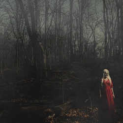 156/Silence From A Distance (Orange & Red) VINYL  LP