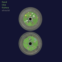 Should Feed Like Fishes 2CD