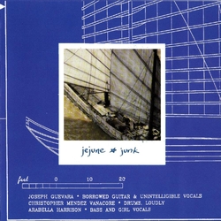 Jejune Junk VINYL  LP