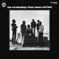 The Awakening Hear  Sense And Feel (Limited Remastered Blue With Black Swirl Vinyl) VINYL  LP