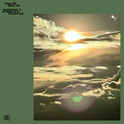 Robert Lowe Aiki Aubrey Manifestations In The ... VINYL  LP