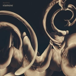 Siamese Dissolution (Gold Metallic Vinyl) VINYL  LP