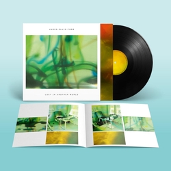 James Ford Ellis Lost In Another World VINYL  LP(150G)