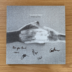 Soaked Oats Working Title VINYL  LP
