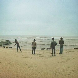 The Donkeys Ride The Black Wave  LP