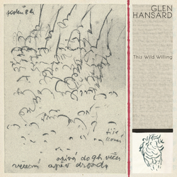 Glen Hansard This Wild Willing 2 LP
