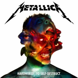 Metallica Hardwired...To Self-Destruct 2 LP Import
