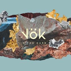 Vok In The Dark  LP