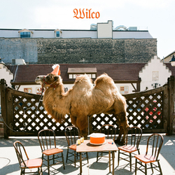 Wilco Wilco: The Album  LP Picture Disc