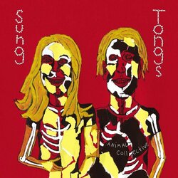 Animal Collective Sung Tongs 2 LP Reissue