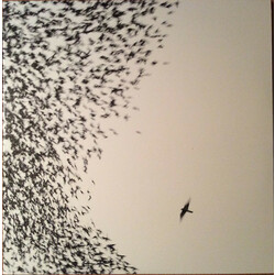 Wilco Sky Blue Sky Vinyl LP